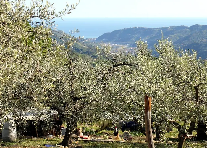 L\'Oasi Del Rossese