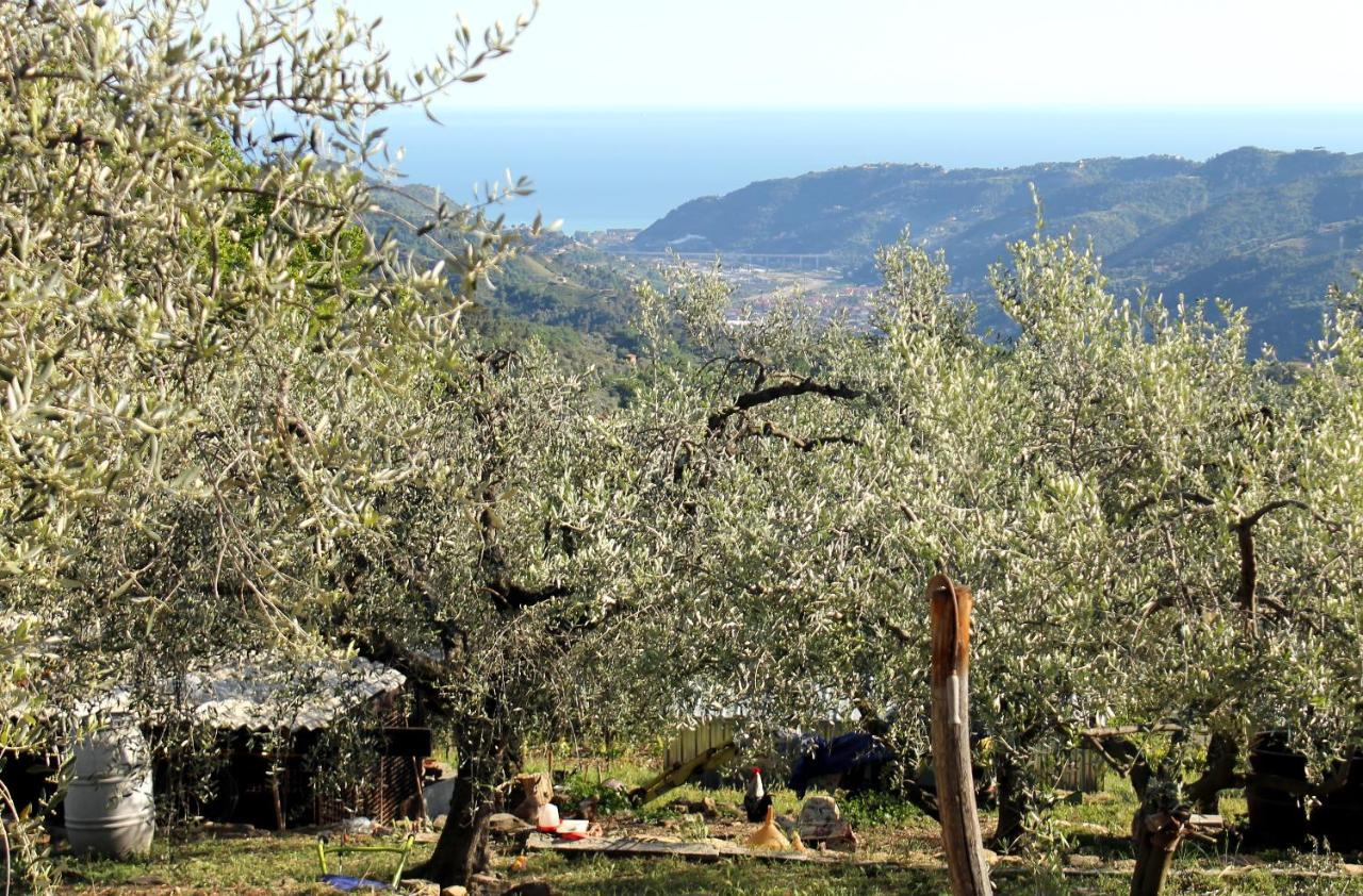 L'oasi Del Rossese Séjour à la ferme